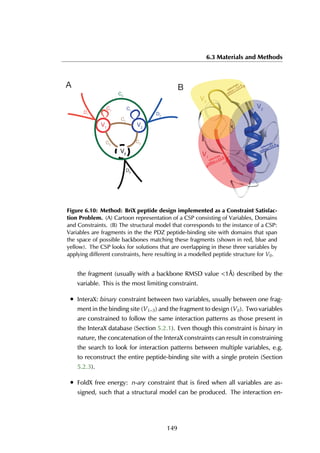 6.3 Materials and Methods
V1
V2
V0
C1
C2
C2C2
C1
D1 D2
D0
C3
A B
V0
Figure 6.10: Method: BriX peptide design implemented as a Constraint Satisfac-
tion Problem. (A) Cartoon representation of a CSP consisting of Variables, Domains
and Constraints. (B) The structural model that corresponds to the instance of a CSP:
Variables are fragments in the the PDZ peptide-binding site with domains that span
the space of possible backbones matching these fragments (shown in red, blue and
yellow). The CSP looks for solutions that are overlapping in these three variables by
applying different constraints, here resulting in a modelled peptide structure for V0.
the fragment (usually with a backbone RMSD value <1Å) described by the
variable. This is the most limiting constraint.
• InteraX: binary constraint between two variables, usually between one frag-
ment in the binding site (V1−3) and the fragment to design (V0). Two variables
are constrained to follow the same interaction patterns as those present in
the InteraX database (Section 5.2.1). Even though this constraint is binary in
nature, the concatenation of the InteraX constraints can result in constraining
the search to look for interaction patterns between multiple variables, e.g.
to reconstruct the entire peptide-binding site with a single protein (Section
5.2.3).
• FoldX free energy: n-ary constraint that is fired when all variables are as-
signed, such that a structural model can be produced. The interaction en-
149
 