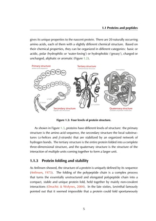 1.1 Proteins and peptides
gives its unique properties to the nascent protein. There are 20 naturally occurring
amino acids, each of them with a slightly different chemical structure. Based on
their chemical properties, they can be organized in different categories: basic or
acidic, polar (hydrophilic or ‘water-loving’) or hydrophobic (‘greasy’), charged or
uncharged, aliphatic or aromatic (Figure 1.2).
Primary structure
α-helix
amino acid sequence
β-sheet
Secondary structure
regular sub-structures
Quaternary structure
complex of protein molecules
hemoglobin
3-dimensional structure
Tertiary structure
p13 protein
Figure 1.3: Four levels of protein structure.
As shown in Figure 1.3, proteins have different levels of structure: the primary
structure is the amino acid sequence, the secondary structure the local substruc-
tures (α-helices and β-strands) that are stabilized by an organized network of
hydrogen bonds. The tertiary structure is the entire protein folded into a complete
three-dimensional structure, and the quaternary structure is the structure of the
interaction of multiple units coming together to form a larger unit.
1.1.3 Protein folding and stability
As Anfinsen showed, the structure of a protein is uniquely defined by its sequence
(Anfinsen, 1973). The folding of the polypeptide chain is a complex process
that turns the essentially unstructured and elongated polypeptide chain into a
compact, stable and unique protein fold, held together by mainly non-covalent
interactions (Onuchic & Wolynes, 2004). In the late sixties, Levinthal famously
pointed out that it seemed impossible that a protein could fold spontaneously
5
 