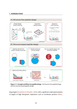 1. INTRODUCTION
A | Structure-free peptide design
Phage-display
library screening
Quantitave
peptide assays
Sequence
motif scanning
B | Structure-based peptide design
Peptides derived from
protein complex structures
De novo peptide design with
structural scaffolds
experimental
experimental/computational
experimental/computational
computational
computational
Optimizing binding affinity
Peptide docking &
de novo design
1 2
1
1 2
3
2
1 2 3 4 5 6 7 8
selection
sequencing
direct
read-out
...SEQUENCESEQUENCE...
consensus motif
1 2 3 4 5 6 7 8
1 2 3 4 5
1 2 3 4 5 6 7 81 2 3 4 5 6 7 8
...
...
...
...
...
...
...
...
1 2 3 4 5 6 7 8
A
C
D
E
F
G
H
I
...
...
best binding motifPWM heatmap
aminoacids
position-specific mutagenesis
Figure 1.7: Example workﬂows for peptide design. (A) Structure-free peptide design
and (B) structure-based peptide design.
drug targets (Tanrikulu & Schneider, 2008), with a significant underrepresentation
of targets of high therapeutic importance such as membrane proteins (Baker,
24
 