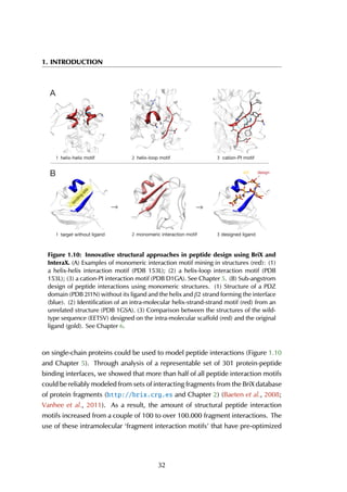 1. INTRODUCTION
target without ligand monomeric interaction motif designed ligand
helix-helix motif helix-loop motif cation-PI motif
binding
site
WT design
A
B
1
1
2
2
3
3
Figure 1.10: Innovative structural approaches in peptide design using BriX and
InteraX. (A) Examples of monomeric interaction motif mining in structures (red): (1)
a helix-helix interaction motif (PDB 153L); (2) a helix-loop interaction motif (PDB
153L); (3) a cation-PI interaction motif (PDB D1GA). See Chapter 5. (B) Sub-angstrom
design of peptide interactions using monomeric structures. (1) Structure of a PDZ
domain (PDB 2I1N) without its ligand and the helix and β2 strand forming the interface
(blue). (2) Identification of an intra-molecular helix-strand-strand motif (red) from an
unrelated structure (PDB 1GSA). (3) Comparison between the structures of the wild-
type sequence (EETSV) designed on the intra-molecular scaffold (red) and the original
ligand (gold). See Chapter 6.
on single-chain proteins could be used to model peptide interactions (Figure 1.10
and Chapter 5). Through analysis of a representable set of 301 protein-peptide
binding interfaces, we showed that more than half of all peptide interaction motifs
could be reliably modeled from sets of interacting fragments from the BriX database
of protein fragments (http://brix.crg.es and Chapter 2) (Baeten et al., 2008;
Vanhee et al., 2011). As a result, the amount of structural peptide interaction
motifs increased from a couple of 100 to over 100.000 fragment interactions. The
use of these intramolecular ‘fragment interaction motifs’ that have pre-optimized
32
 