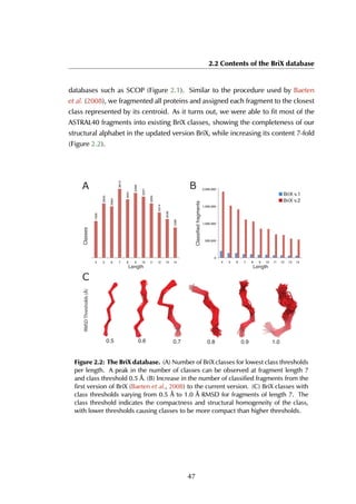 2.2 Contents of the BriX database
databases such as SCOP (Figure 2.1). Similar to the procedure used by Baeten
et al. (2008), we fragmented all proteins and assigned each fragment to the closest
class represented by its centroid. As it turns out, we were able to fit most of the
ASTRAL40 fragments into existing BriX classes, showing the completeness of our
structural alphabet in the updated version BriX, while increasing its content 7-fold
(Figure 2.2).
BriX v.1
1926
2845
2694
3613
3061
3398
3207
2850
2374
2030
1589
4 5 6 7 8 9 10 11 12 13 14
Length
Classes
0.5 0.6 0.7 0.8 0.9 1.0
0
500,000
1,000,000
1,500,000
2,000,000
4 5 6 7 8 9 10 11 12 13 14
Classifiedfragments
Length
BriX v.2
BriX v.1
A B
C
RMSDThresholds(Å)
Figure 2.2: The BriX database. (A) Number of BriX classes for lowest class thresholds
per length. A peak in the number of classes can be observed at fragment length 7
and class threshold 0.5 Å. (B) Increase in the number of classified fragments from the
first version of BriX (Baeten et al., 2008) to the current version. (C) BriX classes with
class thresholds varying from 0.5 Å to 1.0 Å RMSD for fragments of length 7. The
class threshold indicates the compactness and structural homogeneity of the class,
with lower thresholds causing classes to be more compact than higher thresholds.
47
 