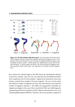 2. FRAGMENTING PROTEIN SPACE
A B
D
Class Fragment Subclass FragmentSuperclass
C
Figure 2.8: The BriX website (http://brix.crg.es). (A) An overview of the class level
with secondary structure content and sequence and structure logos per entry. (B) A
panel on the class level where the user can filter on length, threshold, sequence and
secondary structure content. Similar panels are implemented at every level of the
class hierarchy. (C) BriX contains two levels: the class level and the fragment level.
(D) Loop BriX contains three levels: the superclass, the subclass and the fragment
level.
then matches the selected region to the BriX classes by calculating the distance
to each class centroid. Here, the user can select the class threshold that defines
their compactness (0.6 Å in this example). Fragments are returned for every class
having a centroid close enough to the query fragment. The user can also select
the maximum number of fragments per class, the total minimum and maximum
number of fragments (between 1 and 1000) and superposition thresholds are
adapted accordingly. In the case of the β-strand of the PDZ, over 3000 fragments
superposing with 0.6 Å are matched, of which 1000 are returned to the user as a set
of downloadable fragment PDB files. Moreover, the service provides a snapshot of
56
 