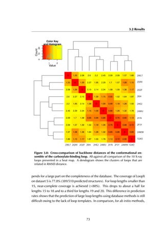 3.2 Results
X2WL7
X2Q9V
X2OZF
X2I04
X2HE2
X2AWU
X2I1N
X2F5Y
X2AWW
X1G9O
1G9O
2AWW
2F5Y
2I1N
2AWU
2HE2
2I04
2OZF
2Q9V
2WL7
1.89 1.15 1.17 1.87 1.55 1.78 1.13 0.72 0.89 0
1.57 1.08 1.36 1.64 1.28 1.32 0.85 0.88 0 0.89
2.09 1.57 1.59 1.52 1.18 1.26 0.76 0 0.88 0.72
2.09 1.7 1.58 0.95 0.99 0.86 0 0.76 0.85 1.13
2.45 2.29 2.34 1.15 1.09 0 0.86 1.26 1.32 1.78
2.2 1.95 2.14 1.39 0 1.09 0.99 1.18 1.28 1.55
2.6 2.37 2.15 0 1.39 1.15 0.95 1.52 1.64 1.87
2.08 1.29 0 2.15 2.14 2.34 1.58 1.59 1.36 1.17
1.25 0 1.29 2.37 1.95 2.29 1.7 1.57 1.08 1.15
0 1.25 2.08 2.6 2.2 2.45 2.09 2.09 1.57 1.89
1 2
Value
01020
Color Key
and Histogram
Count
2WL7 2Q9V 2OZF 2HE22I04 2AWU 2I1N 2F5Y 2AWW 1G9O
2WL7
2Q9V
2OZF
2HE2
2I04
2AWU
2I1N
2F5Y
2AWW
1G9O
Figure 3.8: Cross-comparison of backbone distances of the conformational en-
semble of the carboxylate-binding loop. All-against-all comparison of the 10 X-ray
loops presented in a heat map. A dendogram shows the clusters of loops that are
related in RMSD distance.
pends for a large part on the completeness of the database. The coverage of LoopX
on dataset 5 is 77.8% (389/510 predicted structures). For loop lengths smaller than
15, near-complete coverage is achieved (>80%). This drops to about a half for
lengths 15 to 18 and to a third for lengths 19 and 20. This difference in prediction
rates shows that the prediction of large loop lengths using database methods is still
difficult owing to the lack of loop templates. In comparison, for ab initio methods,
73
 