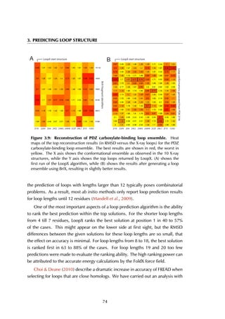 3. PREDICTING LOOP STRUCTURE
A B
X2I1N
X2Q9V
X2I04
X2HE2
X2AWU
X2AWW
X2OZF
X2WL7
X2F5Y
X1G9O
97389
96874
93183
78925
19429
101144
1.84 1.02 2.49 2.07 2.27 1.28 1.73 0.68 1.72 1.45
0.95 1.16 1.78 1.42 1.59 0.7 1.13 1.88 0.59 0.55
0.35 1.7 1.07 0.77 0.76 0.82 1.71 2.05 0.82 1.19
0.7 1.47 1.49 1.21 1.23 0.83 1.48 1.93 0.72 0.93
0.8 1.28 1.57 1.24 1.4 0.73 1.35 1.87 0.48 0.42
0.69 1.47 1.34 1.22 1.2 0.85 1.45 1.81 1.05 1.23
X2I1N
X2Q9V
X2I04
X2HE2
X2AWU
X2AWW
X2OZF
X2WL7
X2F5Y
X1G9O
97389_8
97389_23
97389_12
96874_8
96874_28
96874_19
96874_11
93183_81
93183_68
93183_46
93183_45
93183_22
93183_21
19429_9
19429_34
19429_32
19429_24
2 1.31 2.62 2.38 2.43 1.46 1.7 0.94 1.96 1.69
1.84 1.02 2.49 2.07 2.27 1.28 1.73 0.68 1.72 1.45
2.1 1.25 2.69 2.24 2.45 1.58 2.06 0.7 2.06 1.86
1.14 1.37 1.89 1.8 1.78 0.9 0.97 1.98 1.03 0.91
0.64 1.92 1.31 1.05 1.06 1.1 1.74 2.36 0.5 1.06
0.95 1.16 1.78 1.42 1.59 0.7 1.13 1.88 0.59 0.55
0.84 2.09 1.38 1.48 1.29 1.25 1.63 2.5 0.93 1.26
0.95 1.75 1.66 1.42 1.24 0.9 1.65 2.18 0.95 1.1
0.59 1.74 1.2 1.32 1.09 0.87 1.44 2.09 1.07 1.26
1.17 1.13 1.85 1.74 1.84 0.85 0.77 1.75 1.33 1.09
1.35 2.77 1.46 1.67 0.98 1.8 2.61 2.95 1.62 2.09
0.81 1.73 1.3 0.99 0.99 1.02 1.89 1.96 1.26 1.55
0.35 1.7 1.07 0.77 0.76 0.82 1.71 2.05 0.82 1.19
1.04 1.35 1.74 1.71 1.68 0.85 1.06 1.89 0.97 0.73
0.78 2.06 1.26 1.05 1.03 1.26 1.97 2.42 0.75 1.17
0.8 1.28 1.57 1.24 1.4 0.73 1.35 1.87 0.48 0.42
0.87 2.09 1.33 1.48 1.28 1.28 1.71 2.44 1 1.21
2I1N 2Q9V 2I04 2AWU2HE2 2AWW 2OZF 2WL7 2F5Y 1G9O
LoopX start structure
LoopconformationsgeneratedfromPDB2I1N
LoopX start structure
2I1N 2Q9V 2I04 2AWU2HE2 2AWW 2OZF 2WL7 2F5Y 1G9O
BriXfragmentidentifiers
Figure 3.9: Reconstruction of PDZ carboxylate-binding loop ensemble. Heat
maps of the top reconstruction results (in RMSD versus the X-ray loops) for the PDZ
carboxylate-binding loop ensemble. The best results are shown in red, the worst in
yellow. The X axis shows the conformational ensemble as observed in the 10 X-ray
structures, while the Y axis shows the top loops returned by LoopX. (A) shows the
first run of the LoopX algorithm, while (B) shows the results after generating a loop
ensemble using BriX, resulting in slightly better results.
the prediction of loops with lengths larger than 12 typically poses combinatorial
problems. As a result, most ab initio methods only report loop prediction results
for loop lengths until 12 residues (Mandell et al., 2009).
One of the most important aspects of a loop prediction algorithm is the ability
to rank the best prediction within the top solutions. For the shorter loop lengths
from 4 till 7 residues, LoopX ranks the best solution at position 1 in 40 to 57%
of the cases. This might appear on the lower side at first sight, but the RMSD
differences between the given solutions for these loop lengths are so small, that
the effect on accuracy is minimal. For loop lengths from 8 to 18, the best solution
is ranked first in 63 to 88% of the cases. For loop lengths 19 and 20 too few
predictions were made to evaluate the ranking ability. The high ranking power can
be attributed to the accurate energy calculations by the FoldX force field.
Choi & Deane (2010) describe a dramatic increase in accuracy of FREAD when
selecting for loops that are close homologs. We have carried out an analysis with
74
 