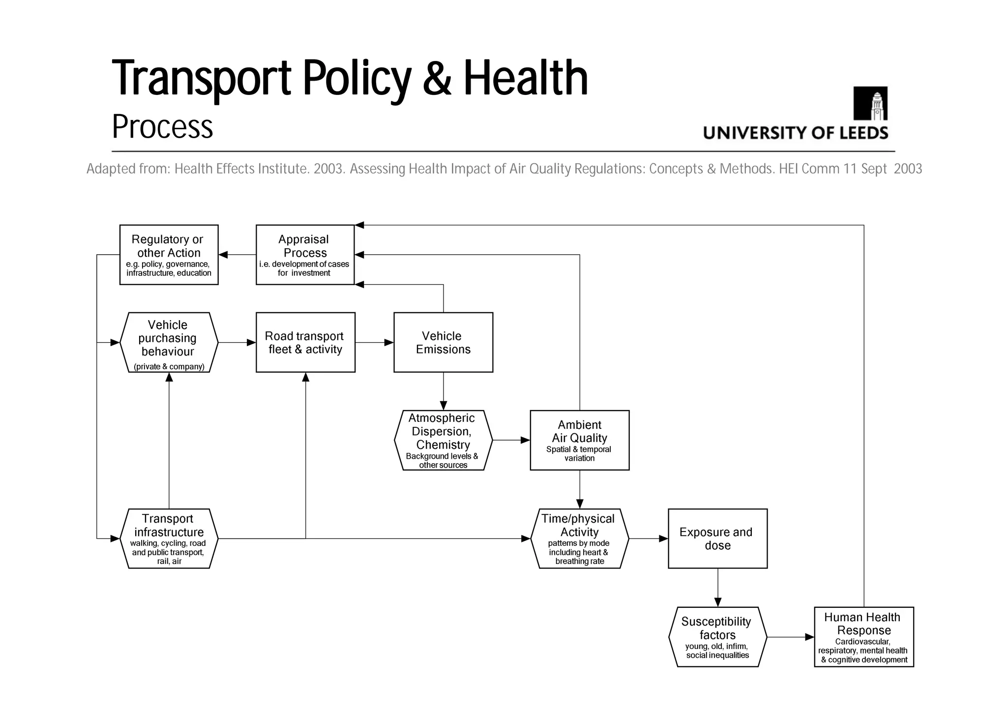 Health Impacts of Transport Policy | PDF