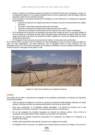 • Existe un registro de entrega de equipos de protección individual firmado por el trabajador, aunque no
se especifica cuáles son. La empresa manifiesta que se le hizo entrega de la ropa de trabajo, botas de
seguridad, gafas de sol y sombrero de paja.
• En la formación e información firmada por el trabajador se hace referencia a la entrega de la siguiente
documentación:
• copia de la evaluación de riesgos del puesto de trabajo en la que se incluye también los riesgos
del centro
• formación e información específica del puesto de trabajo
• copia de la evaluación de riesgos de las máquinas que vaya a utilizar
• copia de los manuales de instrucciones de las máquinas que vaya a utilizar el trabajador.
• En el contenido de la formación se especifica que para evitar el golpe de calor "se aconseja adaptar el
rimo de trabajo a su tolerancia al calor, beber abundante agua y descansar en lugares frescos cuando
tenga mucho calor o se sienta mal, además de utilizar pantalones y camisa de manga larga, así como
sombreros de ala ancha".
• El Trabajador firmó la renuncia al reconocimiento médico 13 días antes de la contratación.
En el informe clínico de alta en UCI se afirmaba con alta probabilidad de que se trata de cuadro de golpe de
calor con fallo multiorgánico. Se hacía referencia, que el trabajador entró en coma profundo con una
temperatura de 42.3°C. En el informe preliminar de autopsia se establece la causa inmediata fundamental de la
muerte el fracaso multiorgánico tras golpe de calor
Imagen 2. Vista de los paneles que se estaban limpiando
CAUSAS
Del análisis de los datos y descripciones recogidos en los apartados precedentes, se deducen las siguientes
causas del accidente:
• Fallo al organizar el trabajo por no tener en cuenta las condiciones meteorológicas adversas con alerta
naranja. Las tareas tendrían que haberse planificado en las horas de menos calor.
• Para esas condiciones, ni el trabajador estaba aclimatado, ni la técnica de limpieza era la más
adecuada por el esfuerzo requerido, ni los descansos se hacían correctamente.
• No se han adoptado las medidas necesarias en materia de primeros auxilios. Como mínimo el
encargado de la planta debería haber recibido una formación más específica.
• No ejecución de medidas preventivas propuestas en la evaluación de riesgos en lo referente a la
vigilancia de la salud.
• Posible mala interpretación del carácter voluntario de la vigilancia de la salud.
• El trabajador firmó la renuncia a la vigilancia de la salud antes de conocer los riesgos a los que iba a
P u d o h a b e r s e e v i t a d o N º 1 8 , a b r i l d e 2 0 1 3
 
