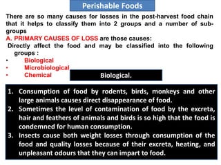 There are so many causes for losses in the post-harvest food chain
that it helps to classify them into 2 groups and a number of sub-
groups
A. PRIMARY CAUSES OF LOSS are those causes:
Directly affect the food and may be classified into the following
groups :
• Biological
• Microbiological
• Chemical
Perishable Foods
1. Consumption of food by rodents, birds, monkeys and other
large animals causes direct disappearance of food.
2. Sometimes the level of contamination of food by the excreta,
hair and feathers of animals and birds is so high that the food is
condemned for human consumption.
3. Insects cause both weight losses through consumption of the
food and quality losses because of their excreta, heating, and
unpleasant odours that they can impart to food.
Biological.
 
