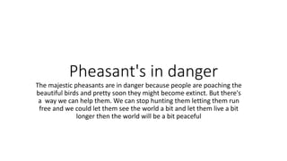 Pheasant's in danger
The majestic pheasants are in danger because people are poaching the
beautiful birds and pretty soon they might become extinct. But there's
a way we can help them. We can stop hunting them letting them run
free and we could let them see the world a bit and let them live a bit
longer then the world will be a bit peaceful
 