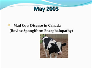 May 2003May 2003
Mad Cow Disease in CanadaMad Cow Disease in Canada
(Bovine Spongiform Encephalopathy)(Bovine Spongiform Encephalopathy)
 