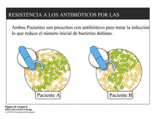 RESISTENCIA A LOS ANTIBIÓTICOS POR LAS 
BACTERIAS 
Ambos Pacientes son prescritos con antibióticos para tratar la infección 
lo que reduce el número inicial de bacterias dañinas. 
Paciente A Paciente B 
 