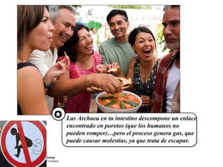  Las Archaea en tu intestino descompone un enlace 
encontrado en porotos (que los humanos no 
pueden romper)…pero el proceso genera gas, que 
puede causar molestias, ya que trata de escapar. 
 