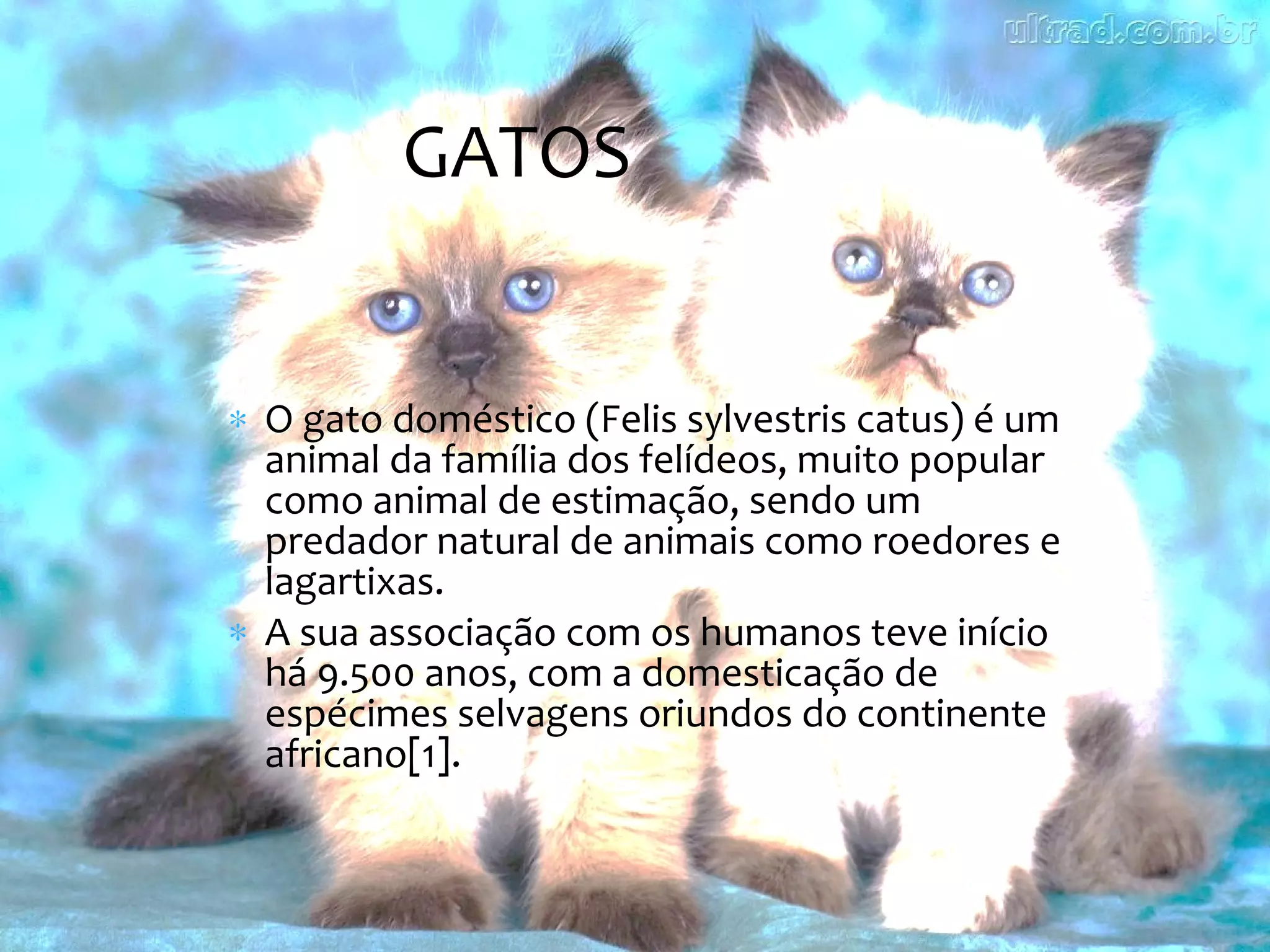 GATOS


∗ O gato doméstico (Felis sylvestris catus) é um
  animal da família dos felídeos, muito popular
  como animal de estimação, sendo um
  predador natural de animais como roedores e
  lagartixas.
∗ A sua associação com os humanos teve início
  há 9.500 anos, com a domesticação de
  espécimes selvagens oriundos do continente
  africano[1].
 