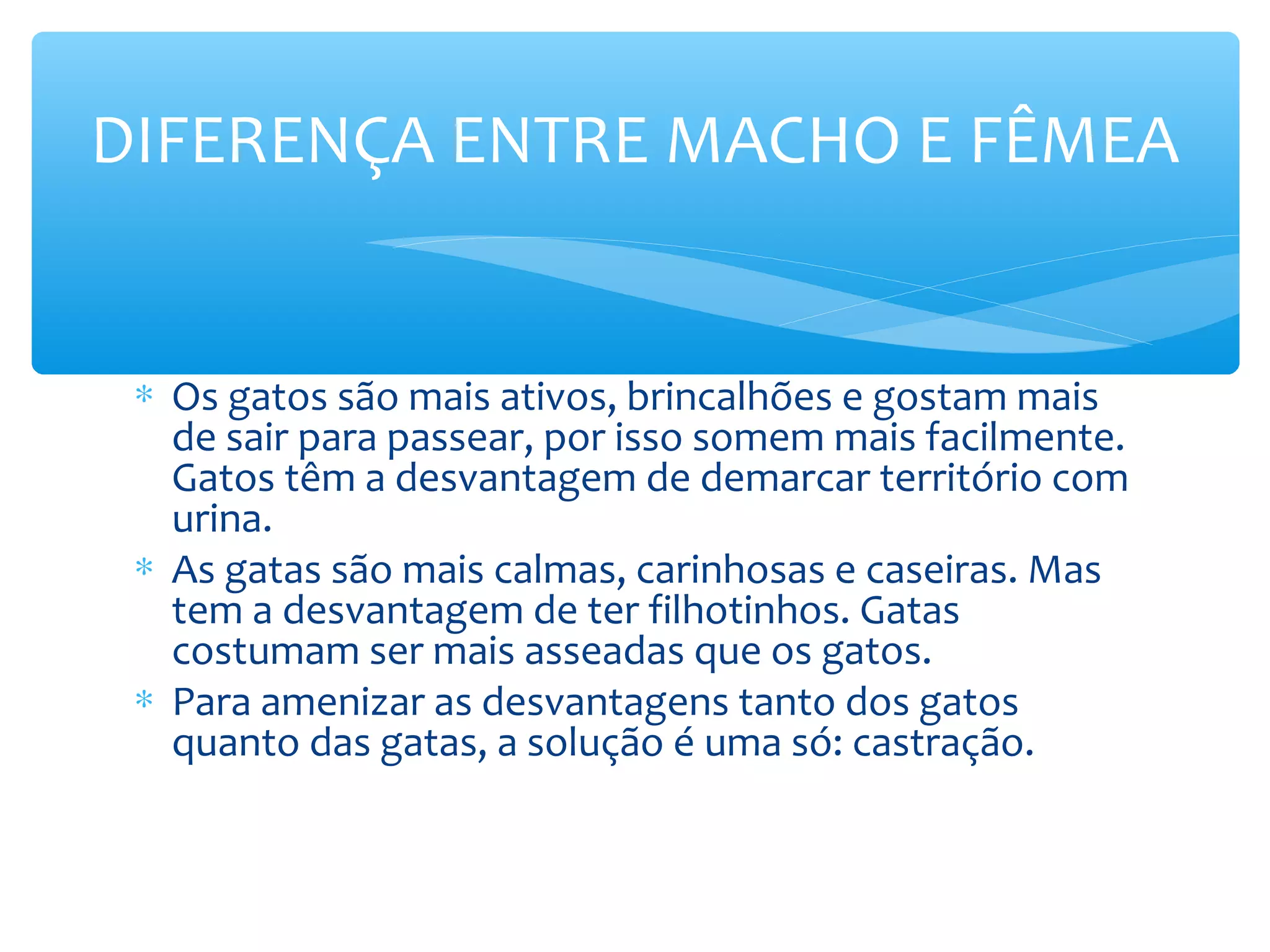 DIFERENÇA ENTRE MACHO E FÊMEA


 ∗ Os gatos são mais ativos, brincalhões e gostam mais
   de sair para passear, por isso somem mais facilmente.
   Gatos têm a desvantagem de demarcar território com
   urina.
 ∗ As gatas são mais calmas, carinhosas e caseiras. Mas
   tem a desvantagem de ter filhotinhos. Gatas
   costumam ser mais asseadas que os gatos.
 ∗ Para amenizar as desvantagens tanto dos gatos
   quanto das gatas, a solução é uma só: castração.
 