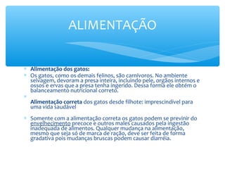 ALIMENTAÇÃO

∗ Alimentação dos gatos:
∗ Os gatos, como os demais felinos, são carnívoros. No ambiente
  selvagem, devoram a presa inteira, incluindo pele, orgãos internos e
  ossos e ervas que a presa tenha ingerido. Dessa forma ele obtém o
  balanceamento nutricional correto.
∗
  Alimentação correta dos gatos desde filhote: imprescindível para
  uma vida saudável
∗ Somente com a alimentação correta os gatos podem se previnir do
  envelhecimento precoce e outros males causados pela ingestão
  inadequada de alimentos. Qualquer mudança na alimentação,
  mesmo que seja só de marca de ração, deve ser feita de forma
  gradativa pois mudanças bruscas podem causar diarréia.
 