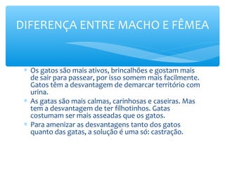 DIFERENÇA ENTRE MACHO E FÊMEA


 ∗ Os gatos são mais ativos, brincalhões e gostam mais
   de sair para passear, por isso somem mais facilmente.
   Gatos têm a desvantagem de demarcar território com
   urina.
 ∗ As gatas são mais calmas, carinhosas e caseiras. Mas
   tem a desvantagem de ter filhotinhos. Gatas
   costumam ser mais asseadas que os gatos.
 ∗ Para amenizar as desvantagens tanto dos gatos
   quanto das gatas, a solução é uma só: castração.
 