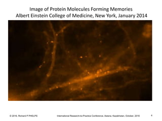 © 2016, Richard P PHELPS International Research-to-Practice Conference, Astana, Kazakhstan, October, 2016 4
Image of Protein Molecules Forming Memories
Albert Einstein College of Medicine, New York, January 2014
 