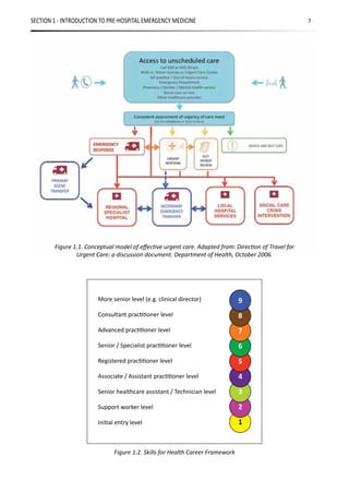 PHEM - Pre Hospital Emergency Medicine Guidelines for Trainers | PDF