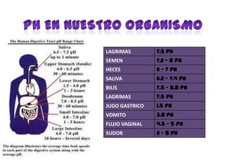 LAGRIMAS 7.5 pH
SEMEN 7.2 - 8 pH
HECES 6 – 7 pH
SALIVA 6.2 – 7.4 pH
BILIS 7.5 – 8.8 pH
LAGRIMAS 7.5 pH
JUGO GASTRICO 1.5 pH
VOMITO 3.8 pH
FLUJO VAGINAL 4.5 – 5 pH
SUDOR 6 – 8 pH