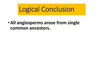 Logical Conclusion
•All angiosperms arose from single
common ancestors.
 