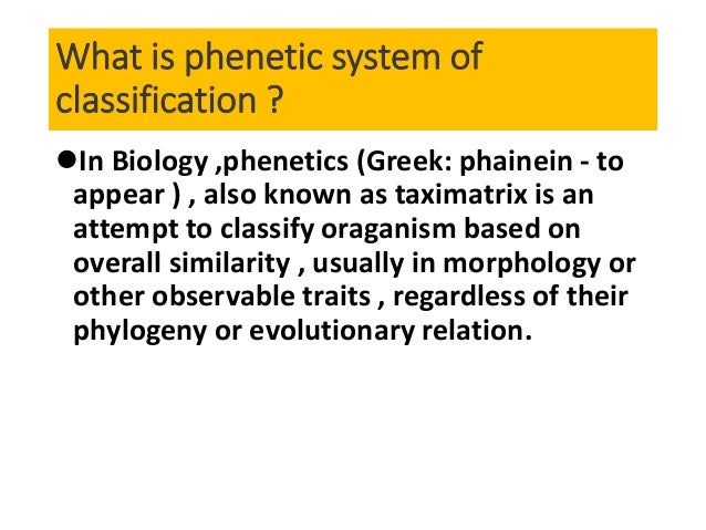 Phenetic Versus Phylogenetic Systems
