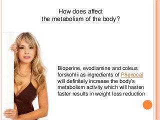 How does affect
the metabolism of the body?
Bioperine, evodiamine and coleus
forskohlii as ingredients of Phenocal
will definitely increase the body’s
metabolism activity which will hasten
faster results in weight loss reduction
 