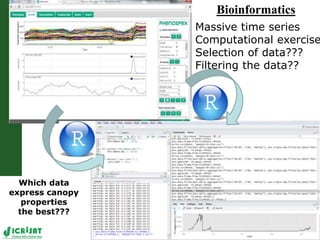 High throughput assessment of plant canopy in progress