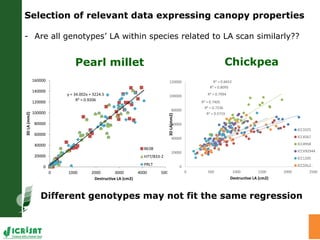 High throughput assessment of plant canopy in progress