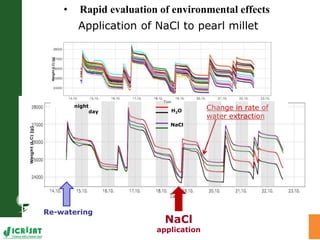 High throughput assessment of plant canopy in progress
