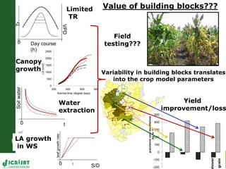 High throughput assessment of plant canopy in progress