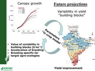 High throughput assessment of plant canopy in progress