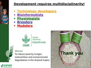 High throughput assessment of plant canopy in progress