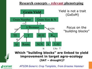 High throughput assessment of plant canopy in progress