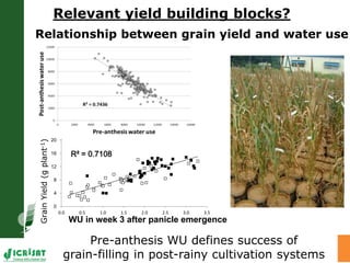 High throughput assessment of plant canopy in progress