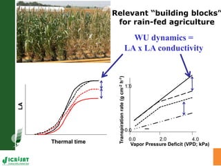 High throughput assessment of plant canopy in progress