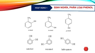 HOẠT ĐỘNG 1 ĐỊNH NGHĨA, PHÂN LOẠI PHENOL
 