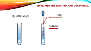 THÍ NGHIỆM THỂ HIỆN TÍNH AXIT CỦA PHENOL
C6H5OH và H2O CO2
Dd NaOH
 