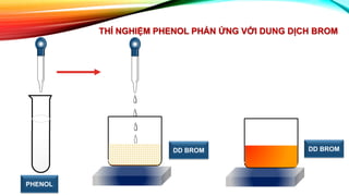 THÍ NGHIỆM PHENOL PHẢN ỨNG VỚI DUNG DỊCH BROM
PHENOL
DD BROM DD BROM
 