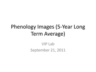 Phenology Images (5-Year Long
Term Average)
VIP Lab
September 21, 2011
 