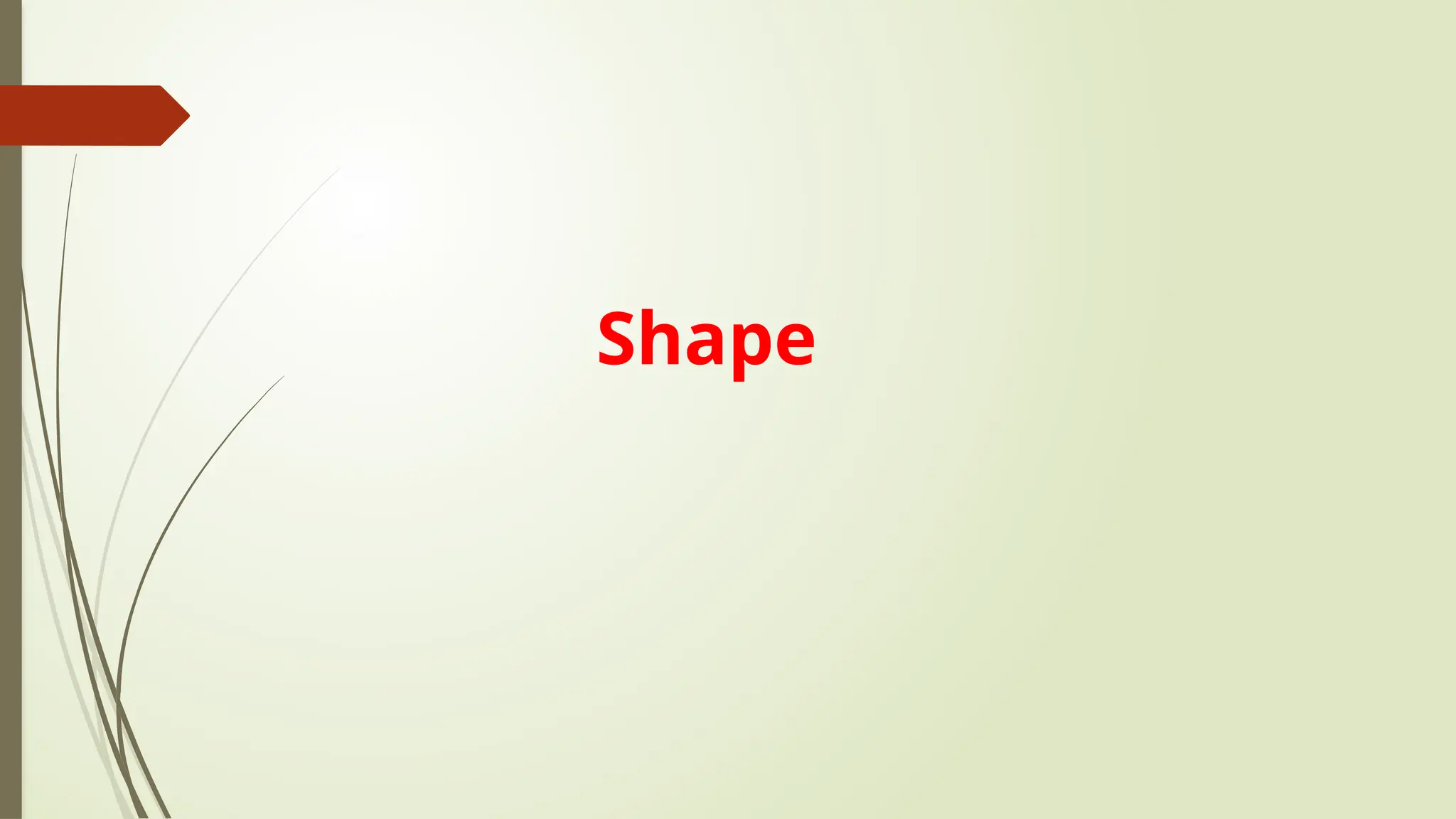Shape
 