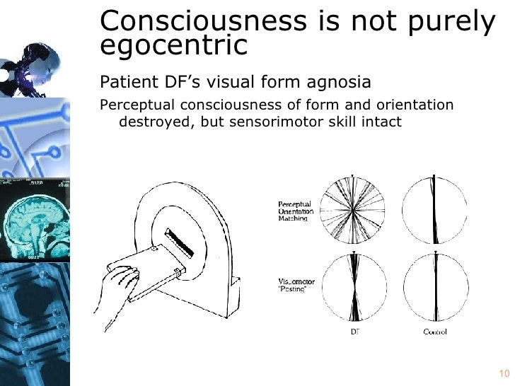 phenomenal consciousness and the allocentric egocentric interface visual form agnosia