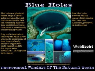 Phenomenal Wonders of the Natural World