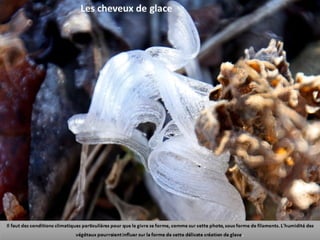 Phénomènes naturels