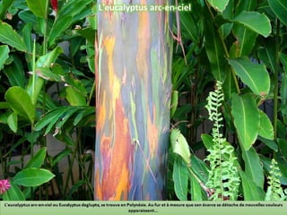 Phénomènes naturels