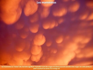 Phénomènes naturels