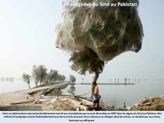 Phénomènes naturels