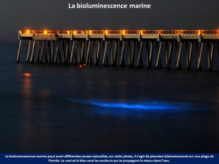 Phénomènes naturels