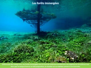 Phénomènes naturels