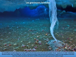 Phénomènes naturels