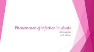 Phenomenon of infection in plants
NISHA KATARIA
M.SC BOTANY
 