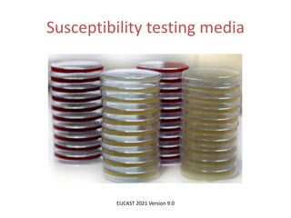 Phenotypic methods used in antimicrobial susceptibility testing